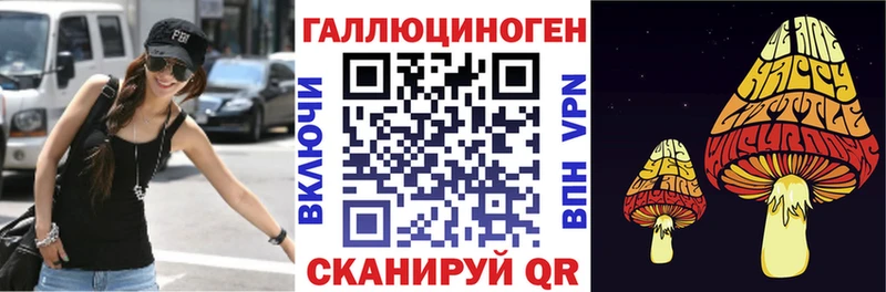 маркетплейс клад  Шимановск  Псилоцибиновые грибы ЛСД 